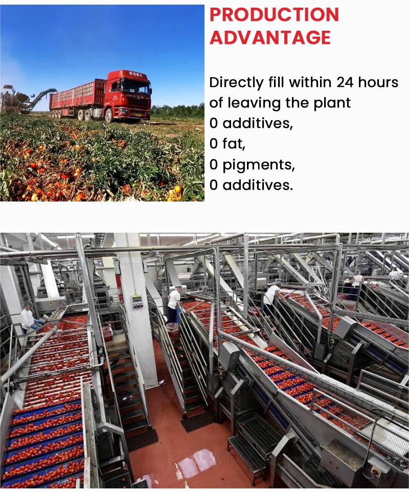 - 3 - 3