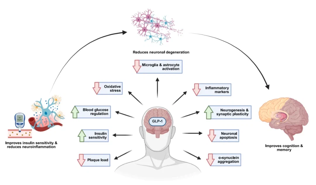 info-1080-633 info-1080-633