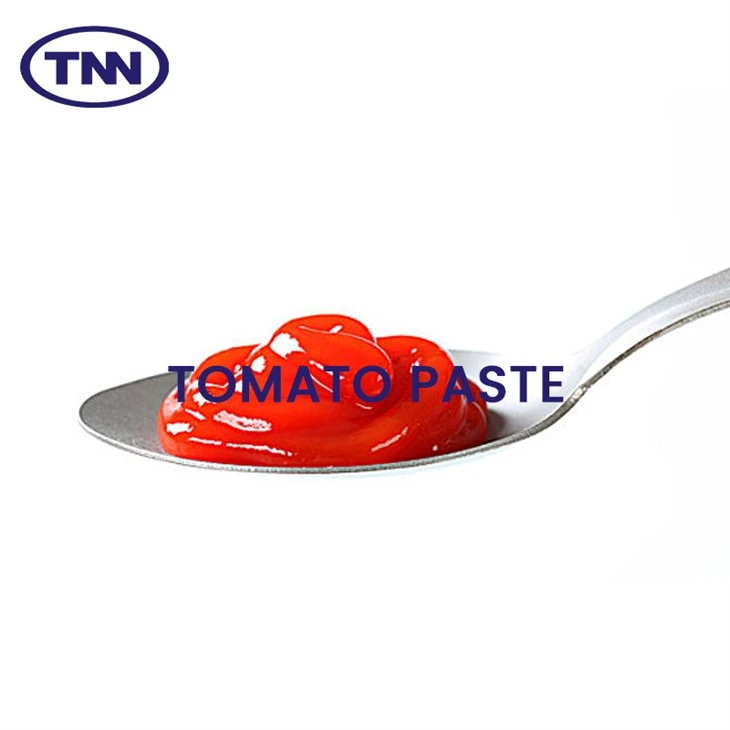 토마토 페이스트
